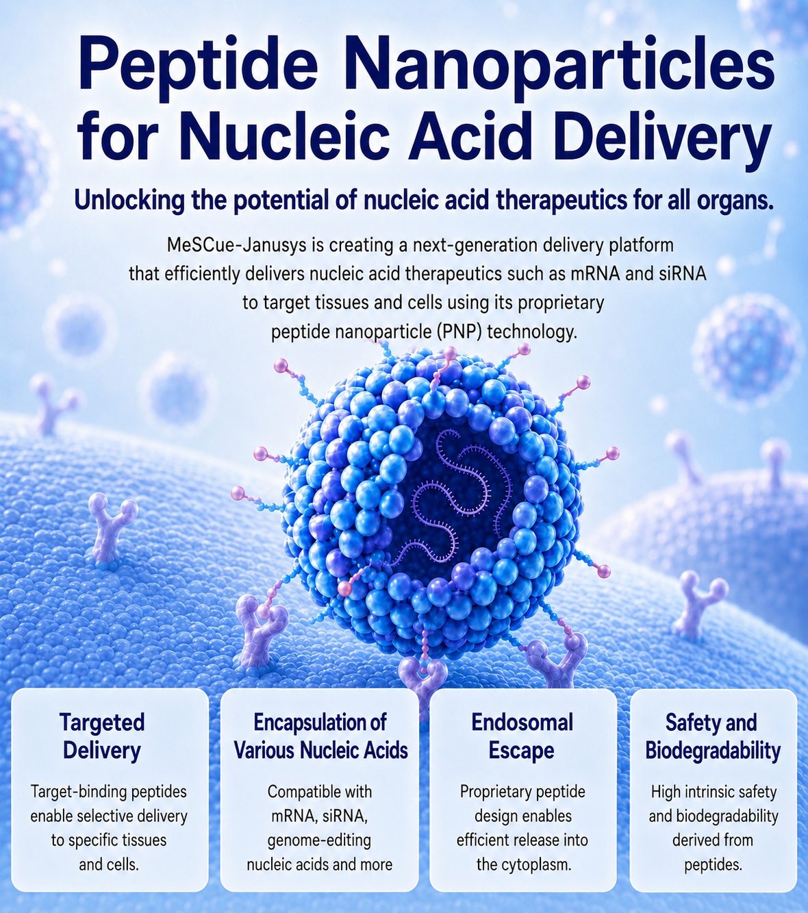 Peptide Nanoparticles for Nucleic Acid Delivery
