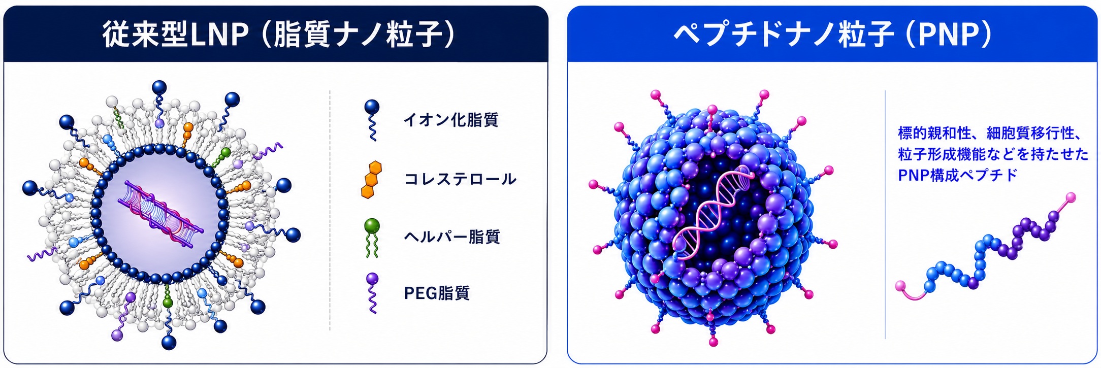 LNPとPNPの比較図