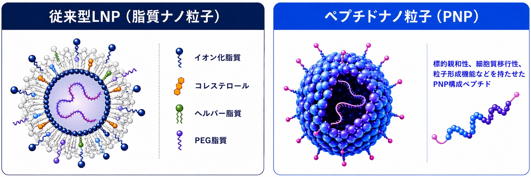 LNPとPNPの比較図