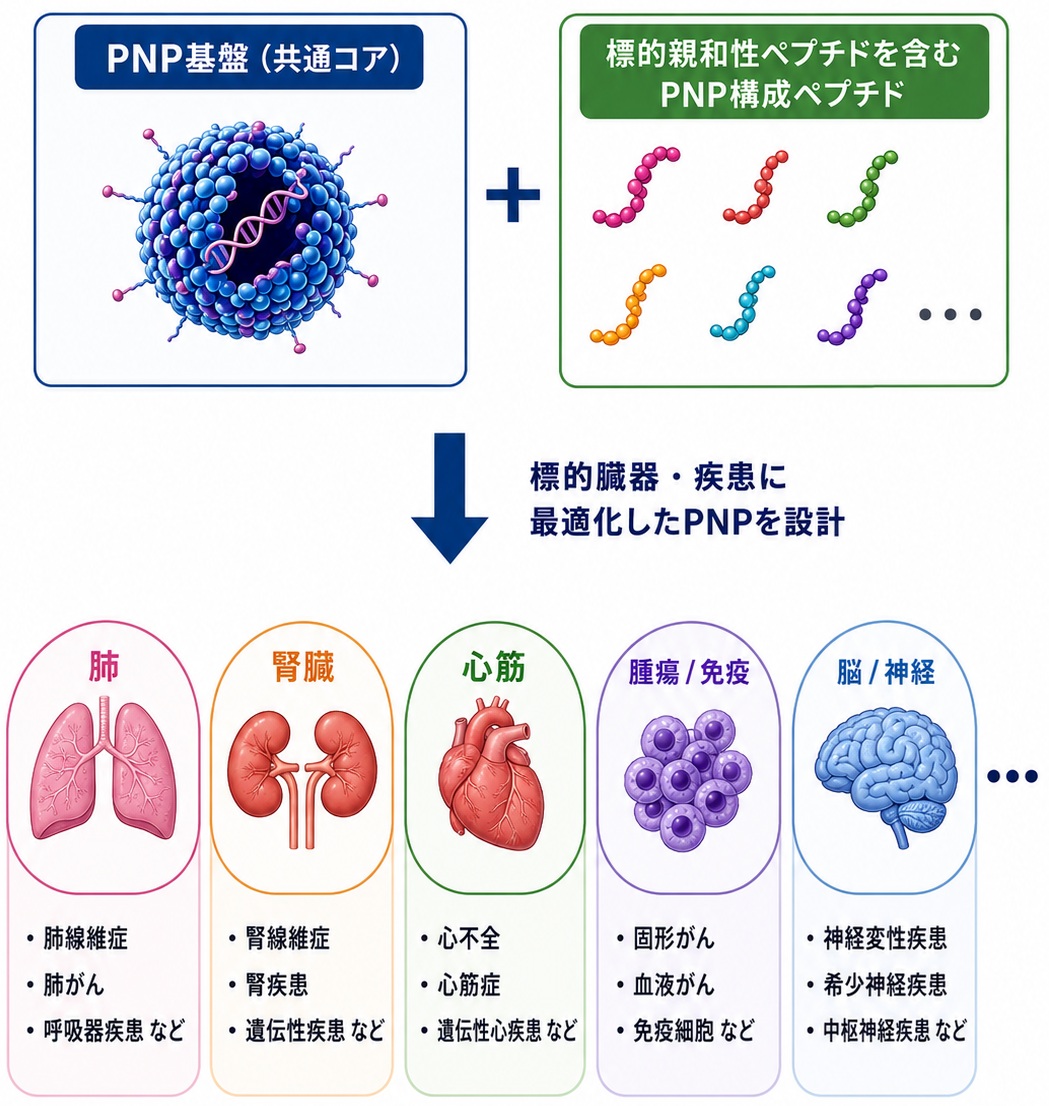標的化ペプチドを交換できるPNPプラットフォーム