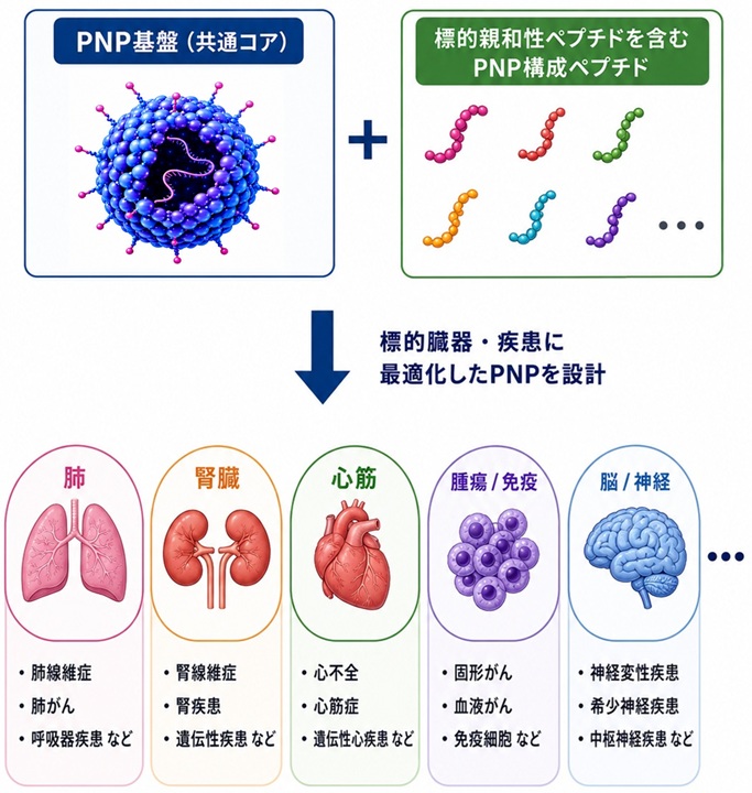 標的化ペプチドを交換できるPNPプラットフォーム